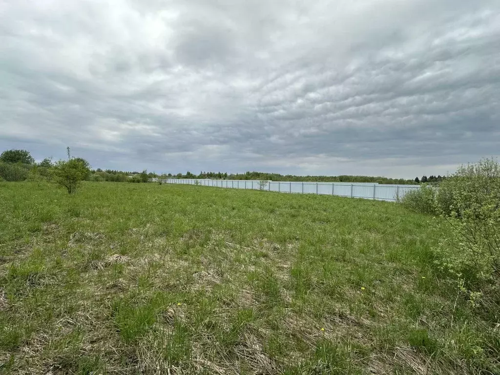 Участок, 50 сот., поселения (ижс) - Фото 1