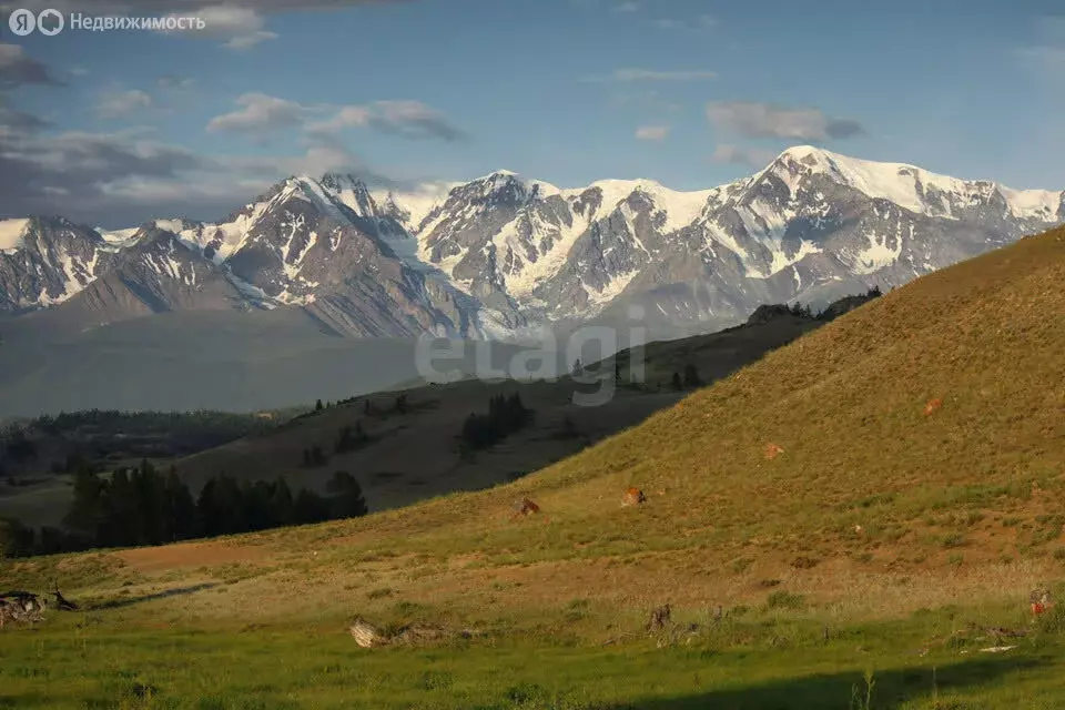 Участок в Кош-Агачский район, село Курай (15 м) - Фото 2