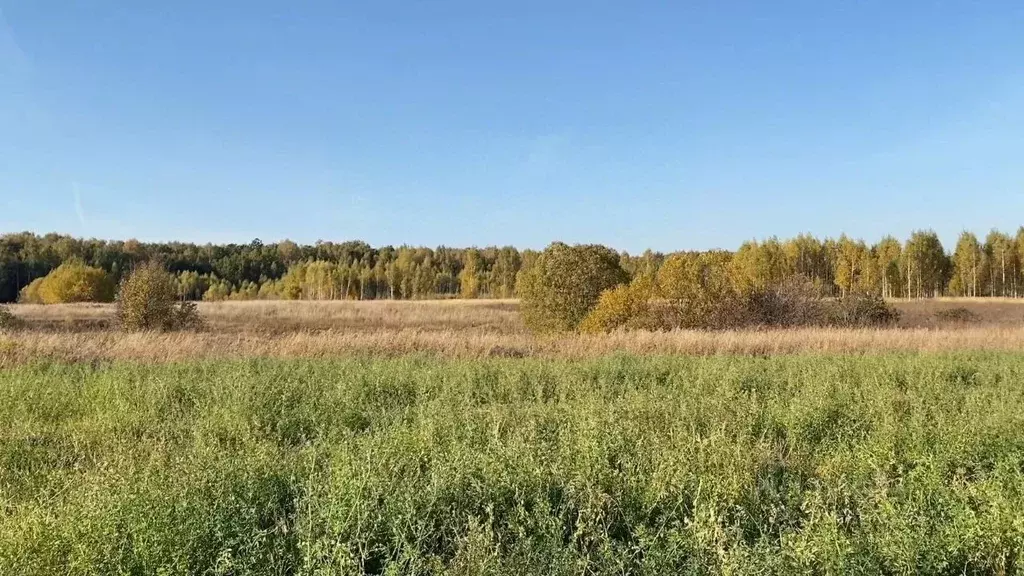 Участок в Московская область, Кашира городской округ, д. Никулино  ... - Фото 0