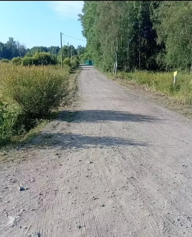 Участок в Ленинградская область, Выборгский район, Светогорское ... - Фото 1