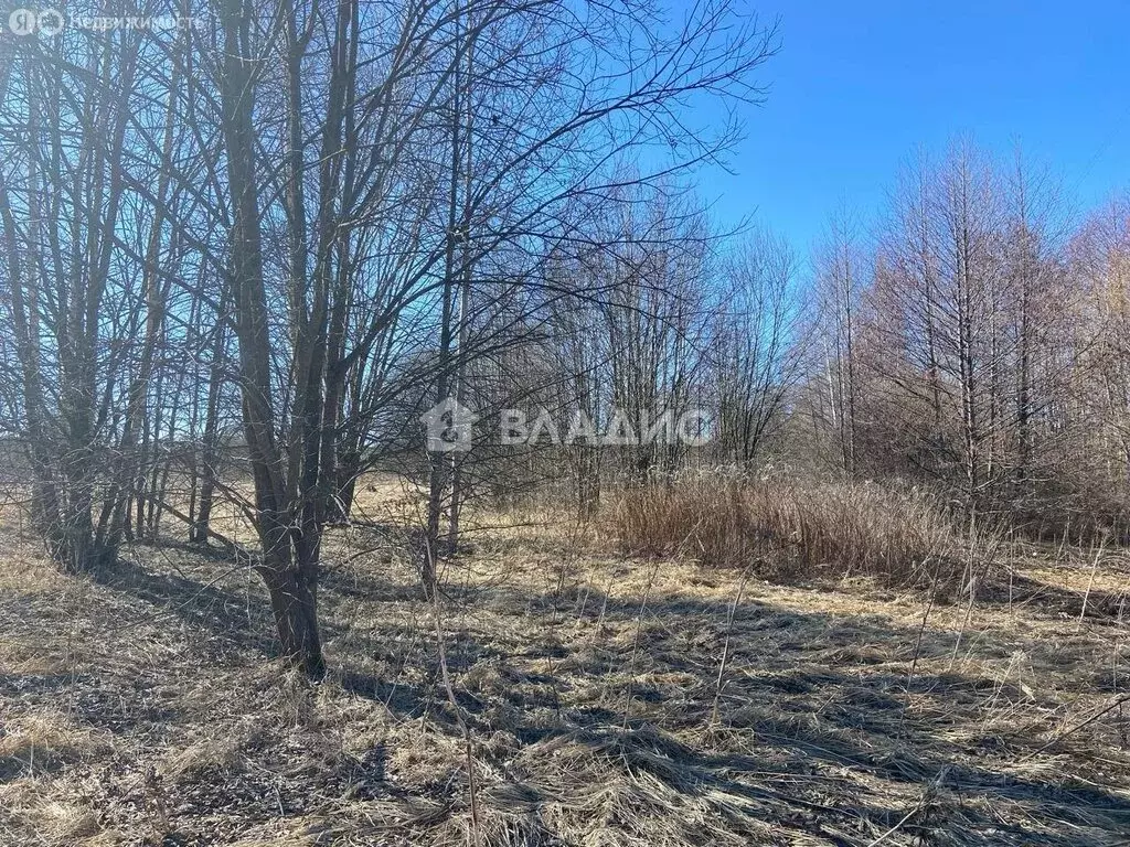 Участок в Владимирская область, Судогодский муниципальный округ, ... - Фото 1