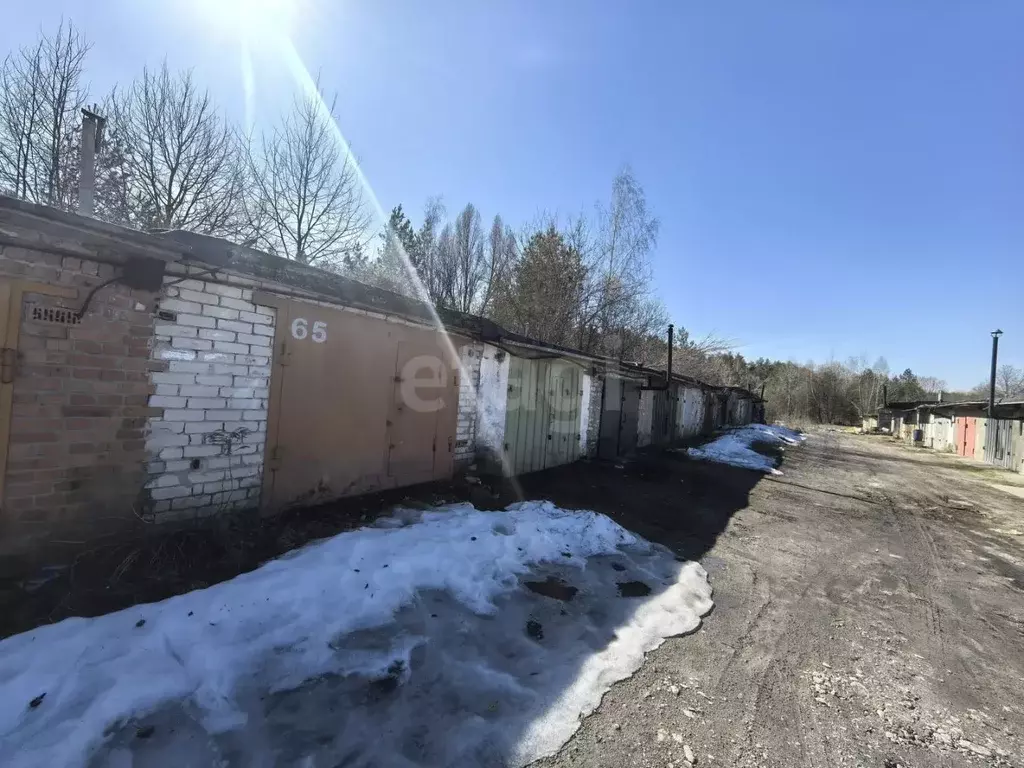 Гараж в Брянская область, Фокино ГСК-2 тер., 4/19 (24 м) - Фото 1