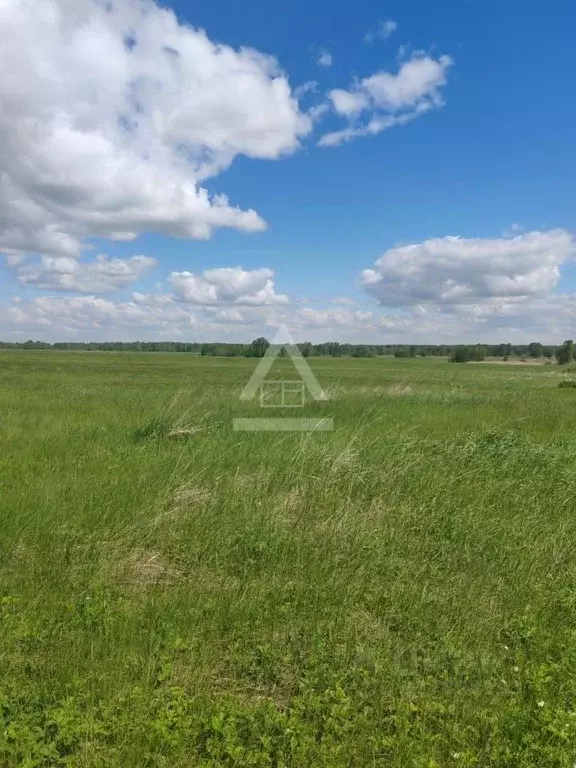 Участок в Челябинская область, Коркинский муниципальный округ, ... - Фото 2