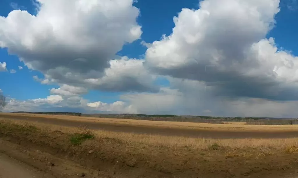 Участок в Красноярский край, Емельяновский район, Элитовский ... - Фото 1