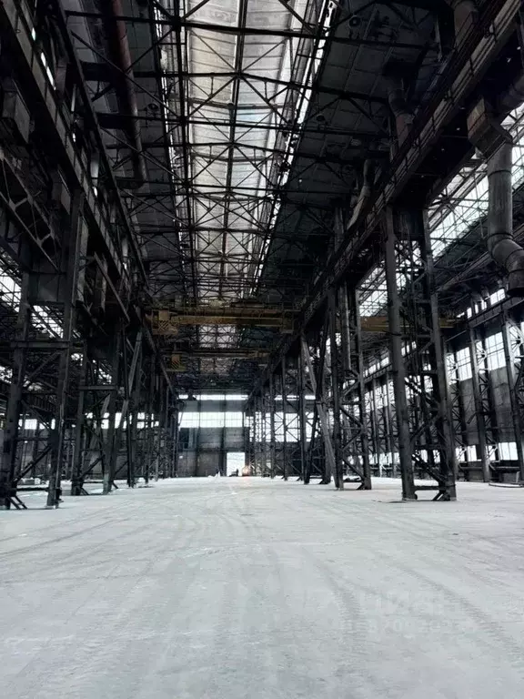 Производственное помещение в Свердловская область, Екатеринбург ул. ... - Фото 1