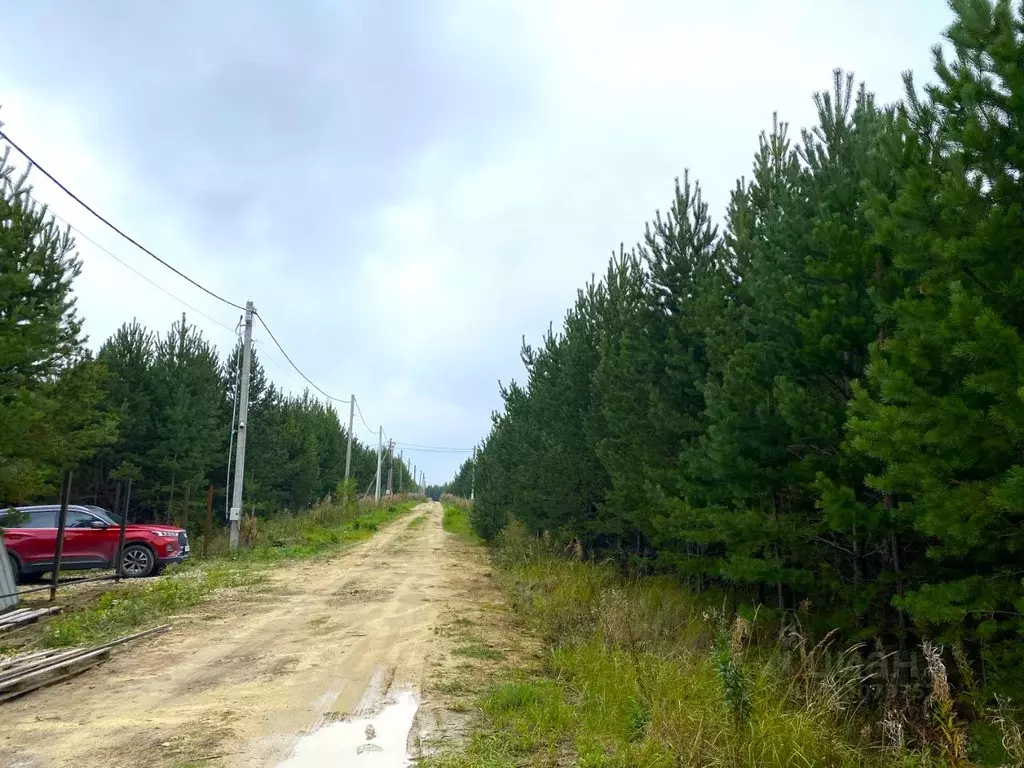Участок в Свердловская область, Белоярский муниципальный округ, с. ... - Фото 0