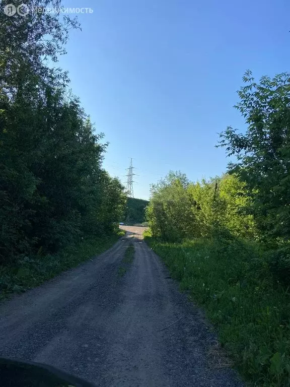 Участок в Белокуриха, Центральная улица, 20 (96 м) - Фото 1