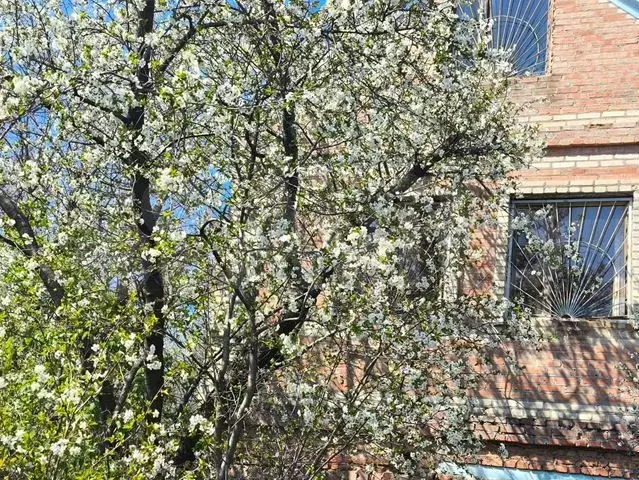 Дача 144 м на участке 10 сот. - Фото 0