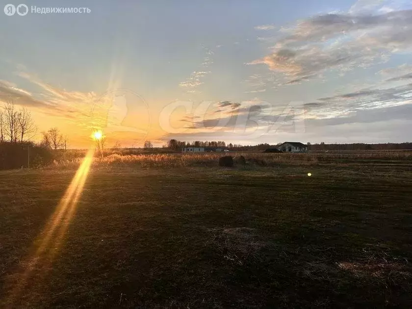 Участок в Тюменский район, деревня Елань (8 м) - Фото 1