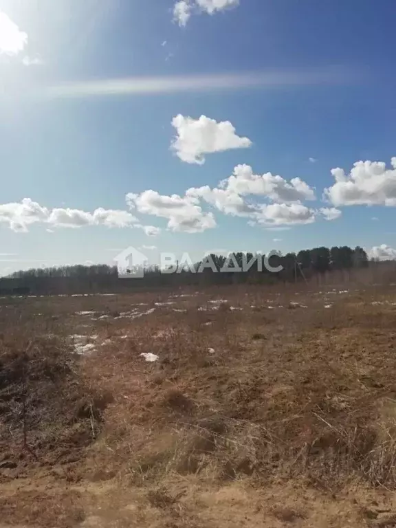 Участок в Калужская область, Город Калуга городской округ, д. Матюнино ... - Фото 1