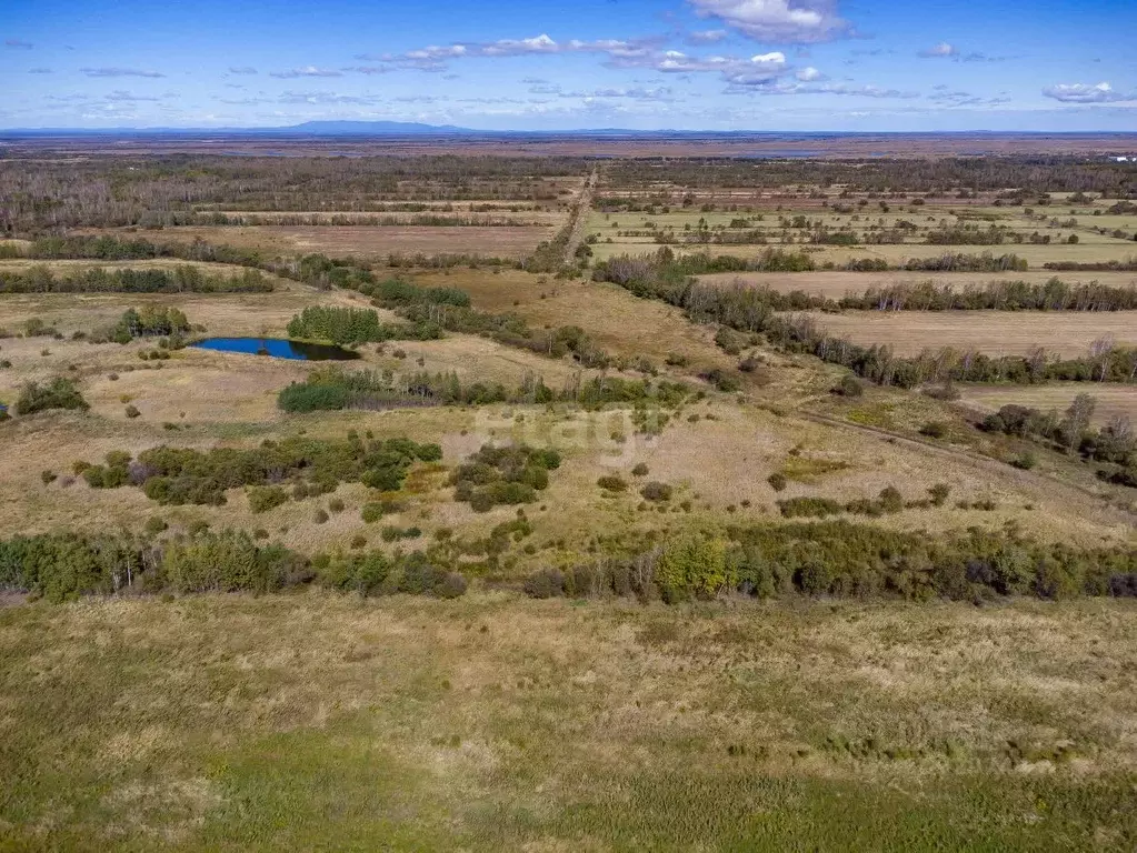 Участок в Хабаровский край, Хабаровский район, Мичуринское с/пос, с. ... - Фото 1