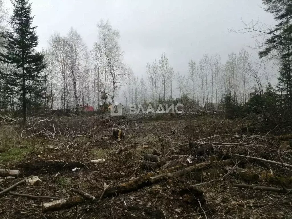 Участок в Тобольск, Тополиная улица (11 м) - Фото 1