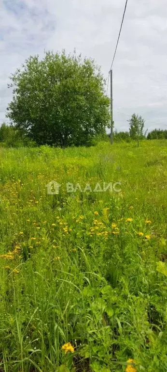 Участок в Марий Эл, Йошкар-Ола городской округ, д. Шоя-Кузнецово ул. ... - Фото 0