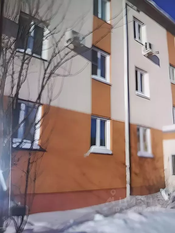 Студия Курганская область, Курган ул. Чкалова, 3 (32.0 м) - Фото 1