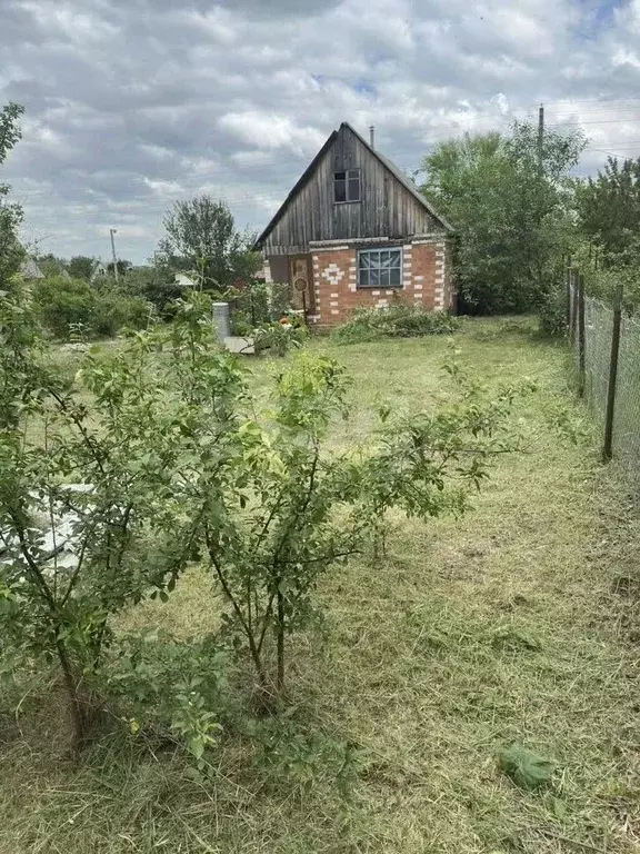 Участок в Воронежская область, Воронеж Сосна СНТ, ул. 12-я, 621 (6.0 ... - Фото 1