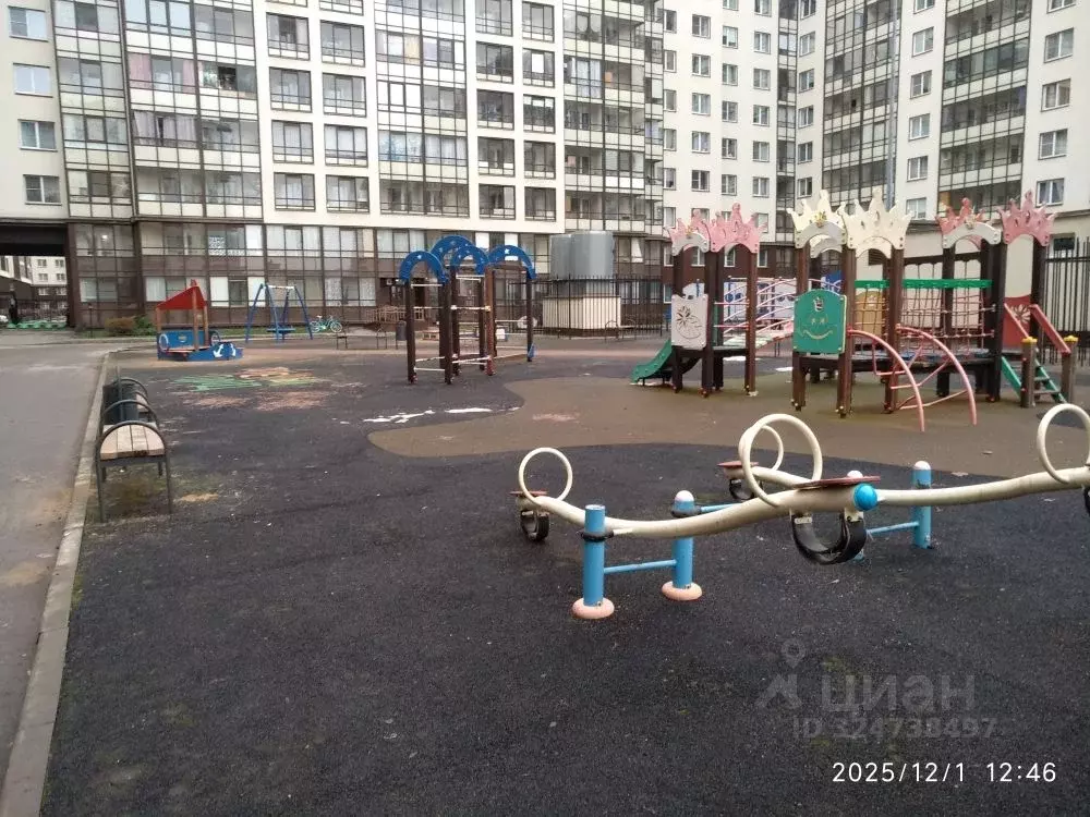 Студия Санкт-Петербург просп. Ветеранов, 169к2 (24.0 м) - Фото 2