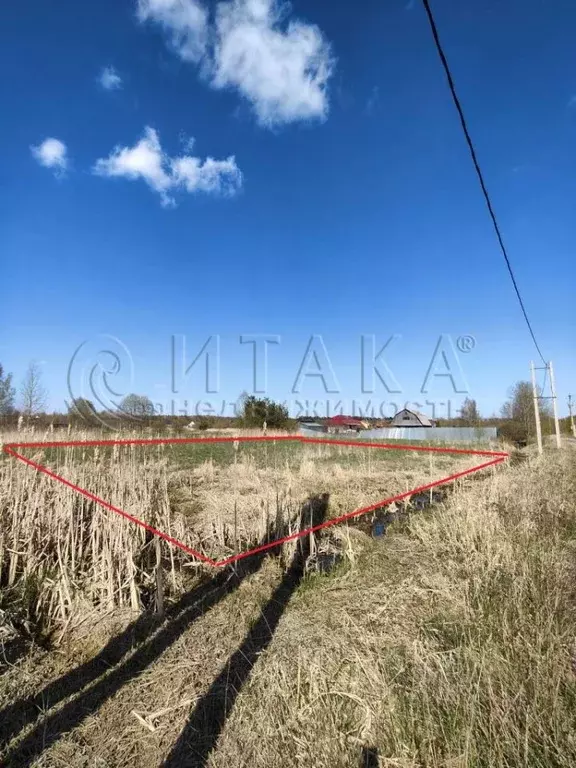 Участок в Ленинградская область, Приозерский район, Ромашкинское ... - Фото 1