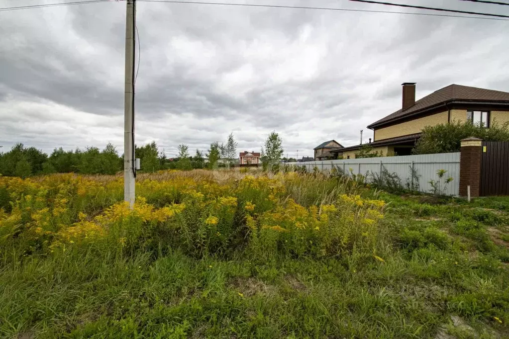 Участок в Нижегородская область, Богородский муниципальный округ, д. ... - Фото 1