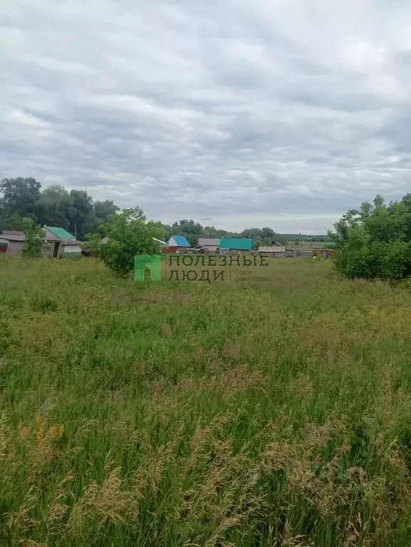 Село бельское стерлитамакский. Село Бельское. Деревня муравьешкино.