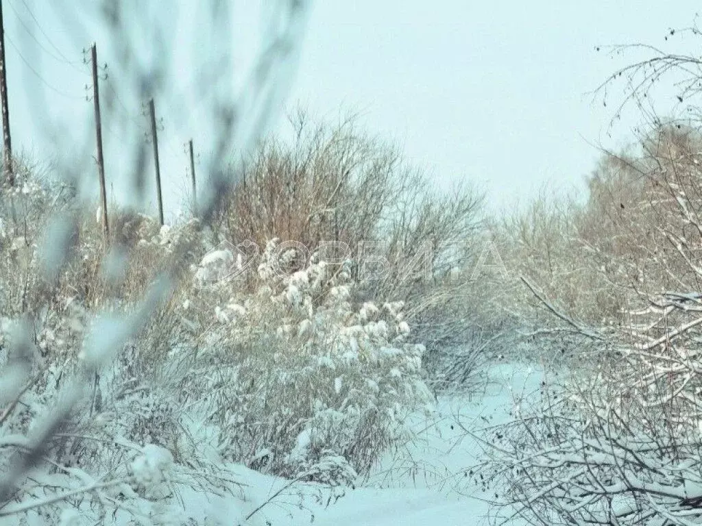 Участок в Тюменская область, Тюмень Садовое товарищество Липовый ... - Фото 1