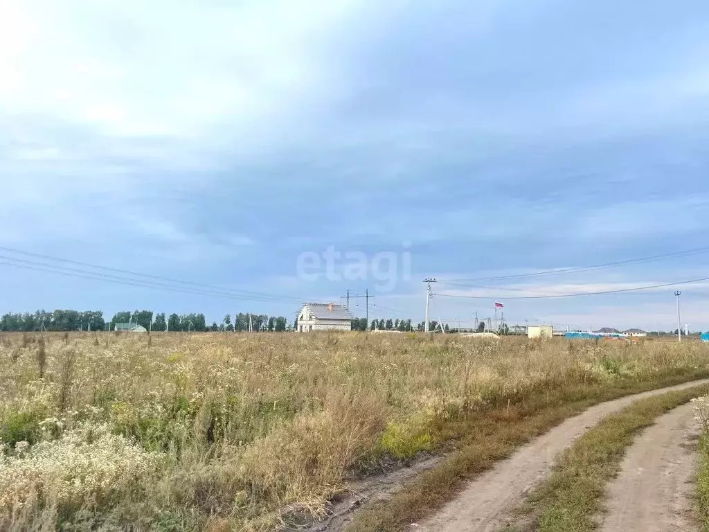 Участок в Тамбовская область, Тамбовский муниципальный округ, д. ... - Фото 0