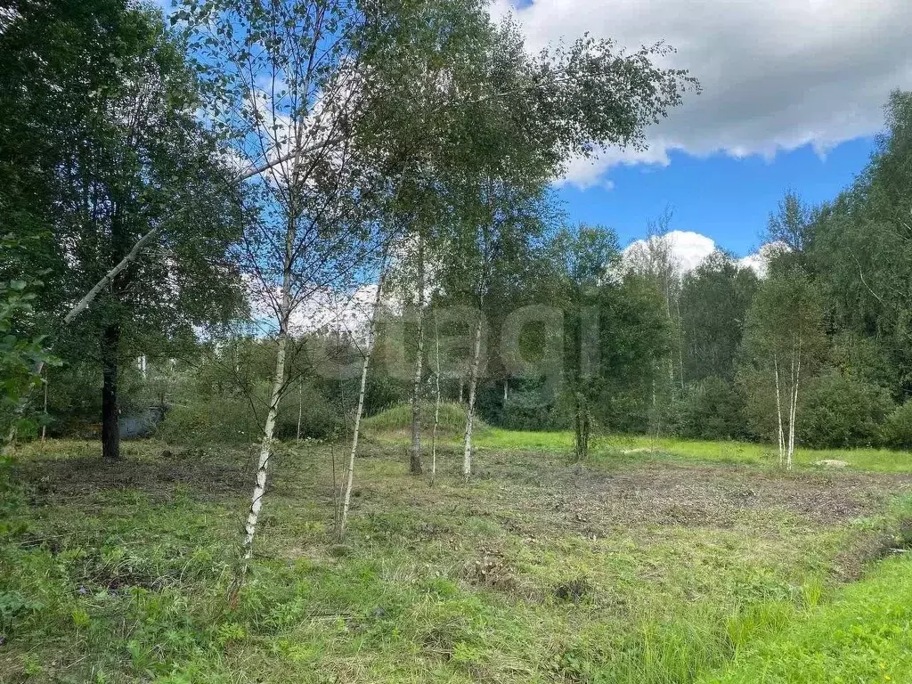 Участок в Московская область, Клин городской округ, Борщево СНТ ул. ... - Фото 2