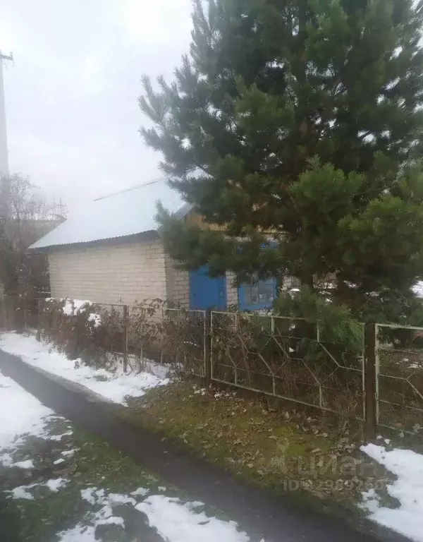 Участок в Новосибирская область, Искитим Строитель садовое ... - Фото 1