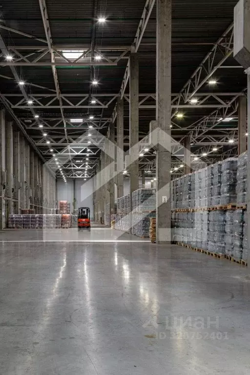 Производственное помещение в Московская область, Богородский городской ... - Фото 1