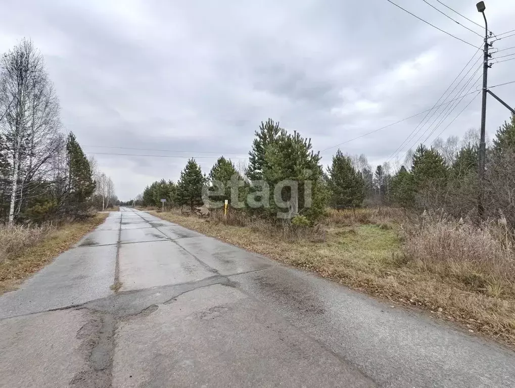 Участок в Тюменская область, Нижнетавдинский муниципальный округ, д. ... - Фото 2
