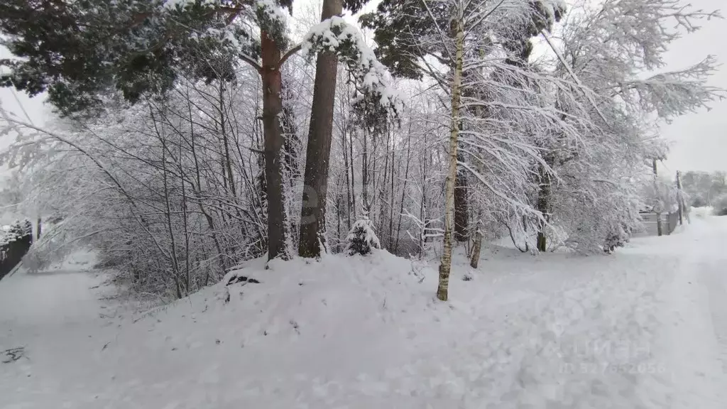 Участок в Ленинградская область, Киришский район, Пчевжинское с/пос, ... - Фото 1