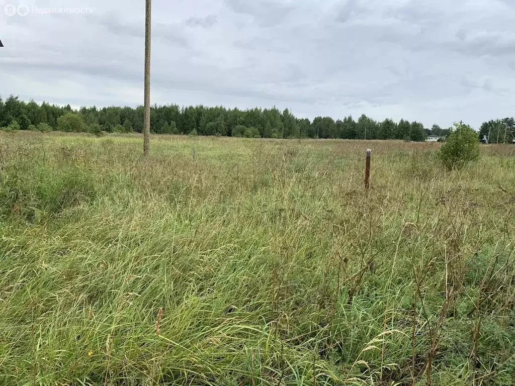 Дом в Вологодская область, Череповецкий муниципальный округ, деревня ... - Фото 1