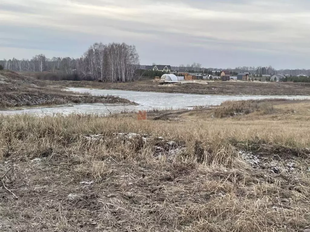 Участок в Тюменская область, Тюменский район, Новокаменский кп ул. ... - Фото 1