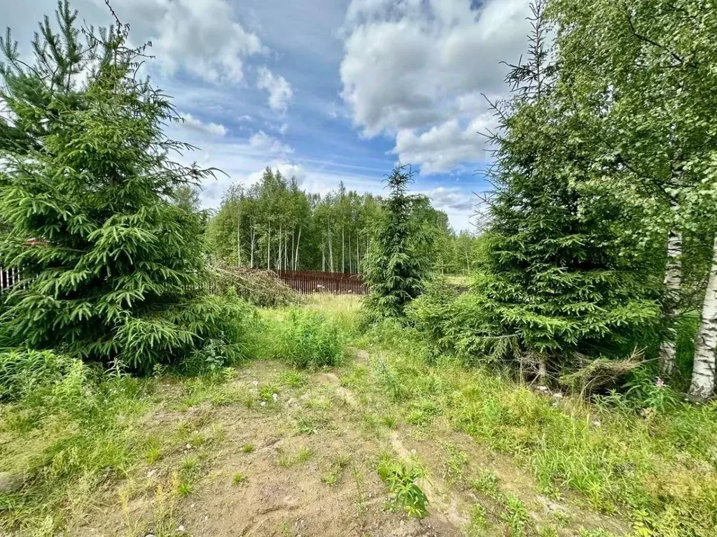 Участок в Ленинградская область, Выборгский район, Полянское с/пос, ... - Фото 2