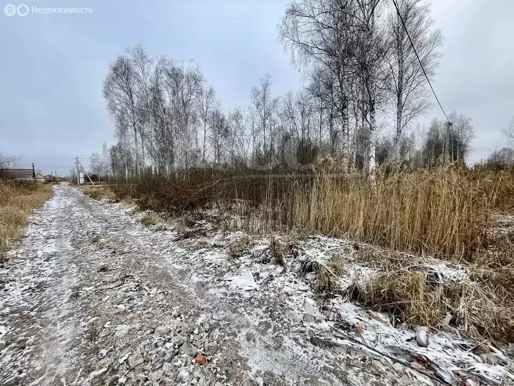 Участок в Тюменская область, Нижнетавдинский муниципальный округ, СНТ ... - Фото 2