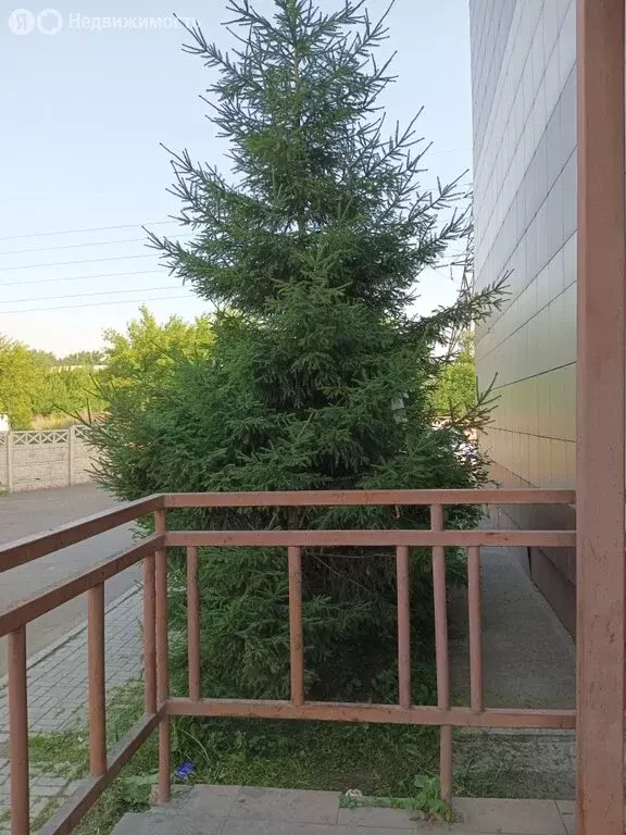 Квартира-студия: Красноярск, улица Энергетиков, 73А (22 м) - Фото 1
