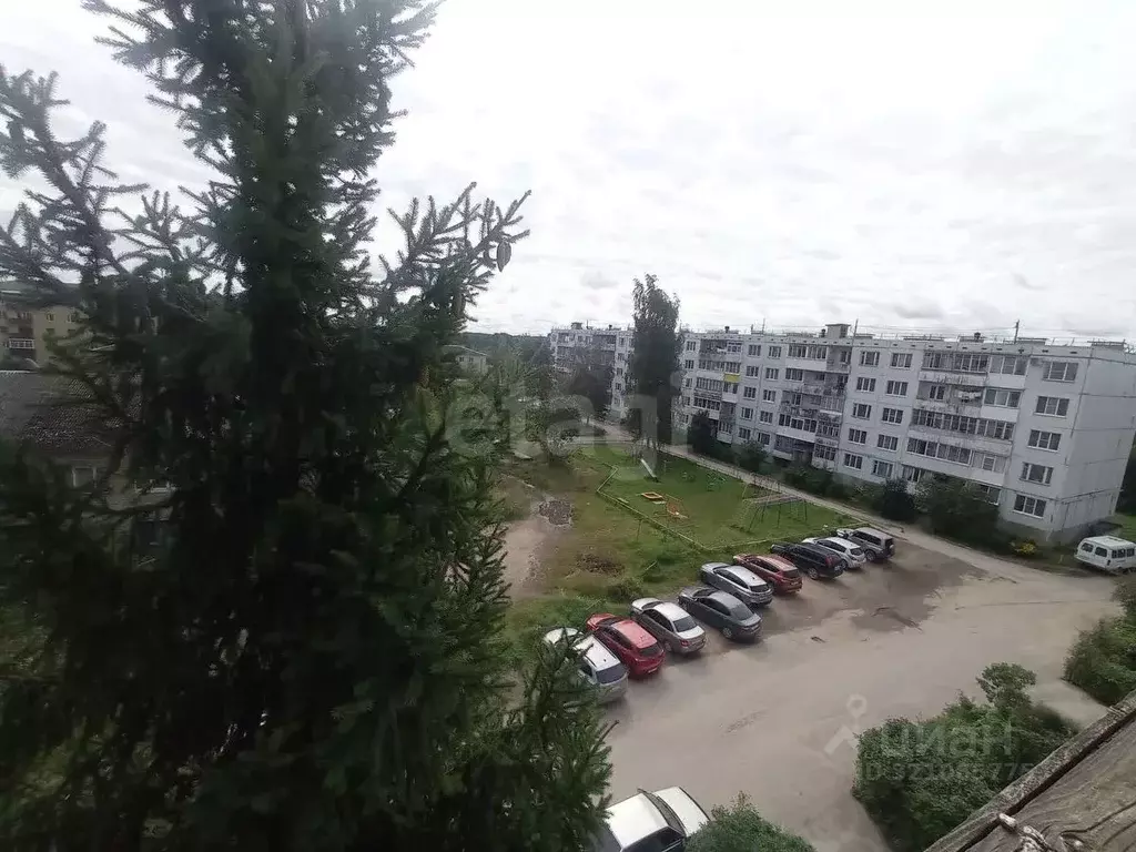 3-к кв. Псковская область, Пыталово ул. Юнкерова, 15 (67.5 м) - Фото 1