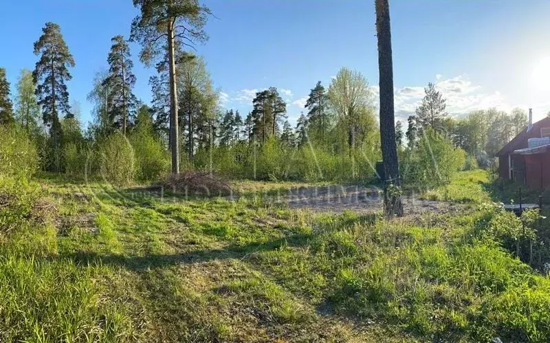 Участок в Ленинградская область, Светогорск Выборгский район, Лесная ... - Фото 1