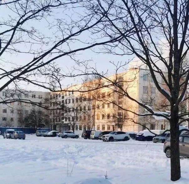 Помещение свободного назначения в Санкт-Петербург Шафировский просп., ... - Фото 1