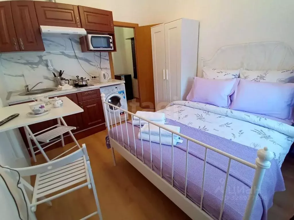 Студия Санкт-Петербург пос. Песочный, Садовая ул., 81 (26.0 м) - Фото 2