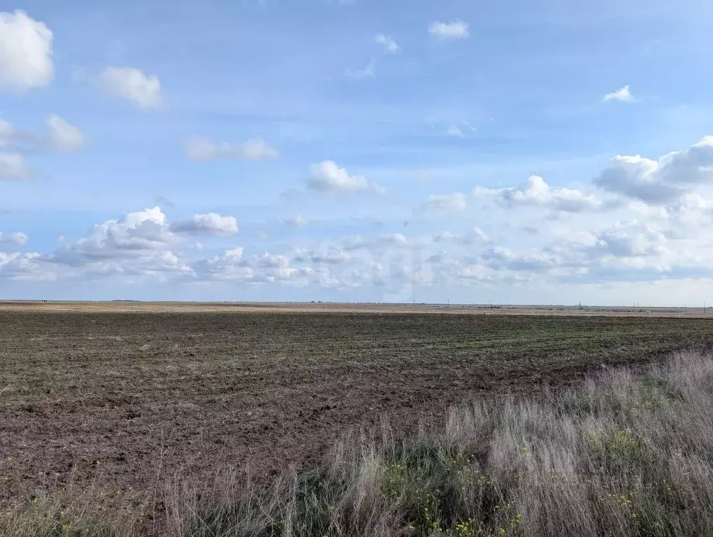 Участок в Крым, Черноморский район, Оленевское с/пос, с. Оленевка  ... - Фото 1