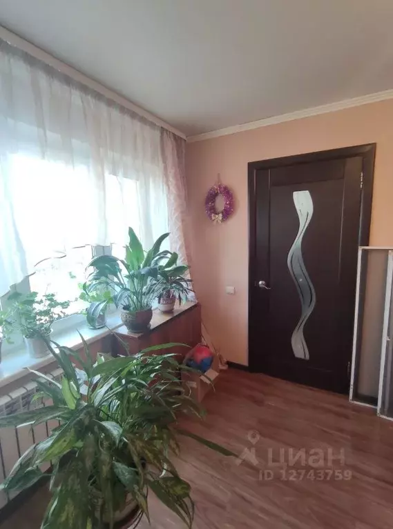 3-к кв. Брянская область, Брянск Белорусская ул, 38 (60.0 м) - Фото 0