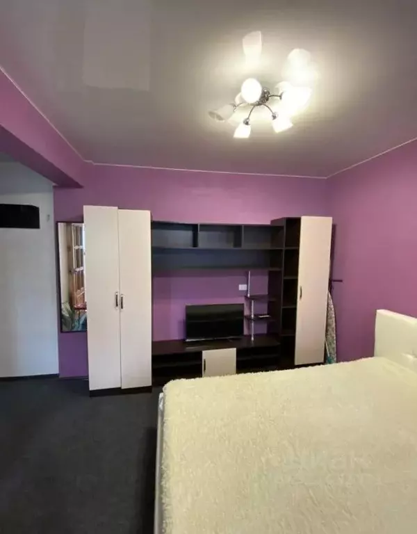 1-к кв. Краснодарский край, Краснодар ул. Димитрова, 137 (31.0 м) - Фото 1