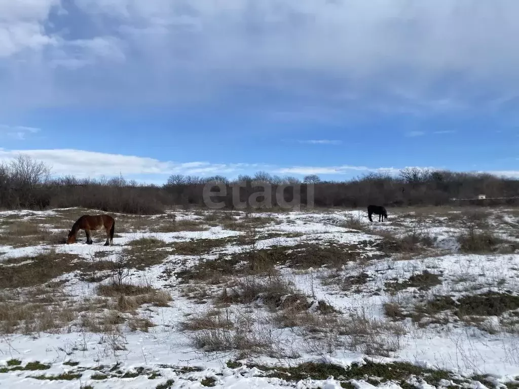 Участок в Ставропольский край, Ставрополь Автомобилист садовое ... - Фото 2