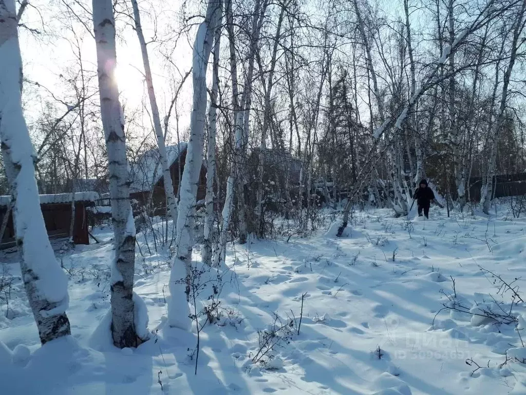 Участок в Саха (Якутия), Якутск городской округ, с. Маган  (6.0 сот.) - Фото 0