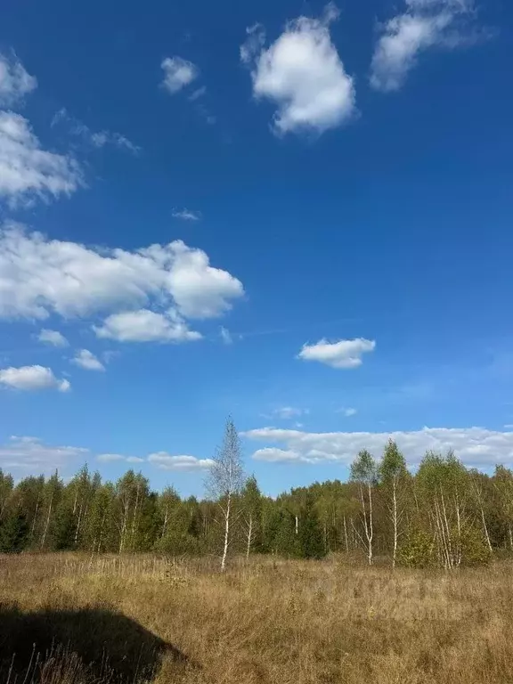 Участок в Московская область, Серпухов городской округ, д. Верхние ... - Фото 0