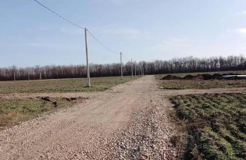 Участок в Краснодарский край, Динской район, с. Красносельское, ... - Фото 1