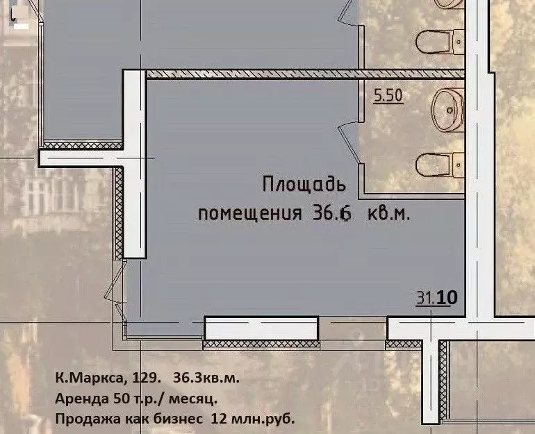 Торговая площадь в Коми, Сыктывкар ул. Карла Маркса, 129 (37 м) - Фото 1
