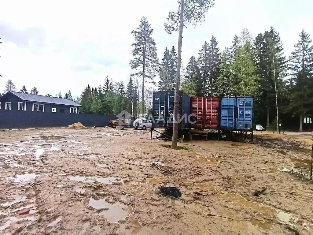 Участок в Ленинградская область, Всеволожский район, Лесколовское ... - Фото 1