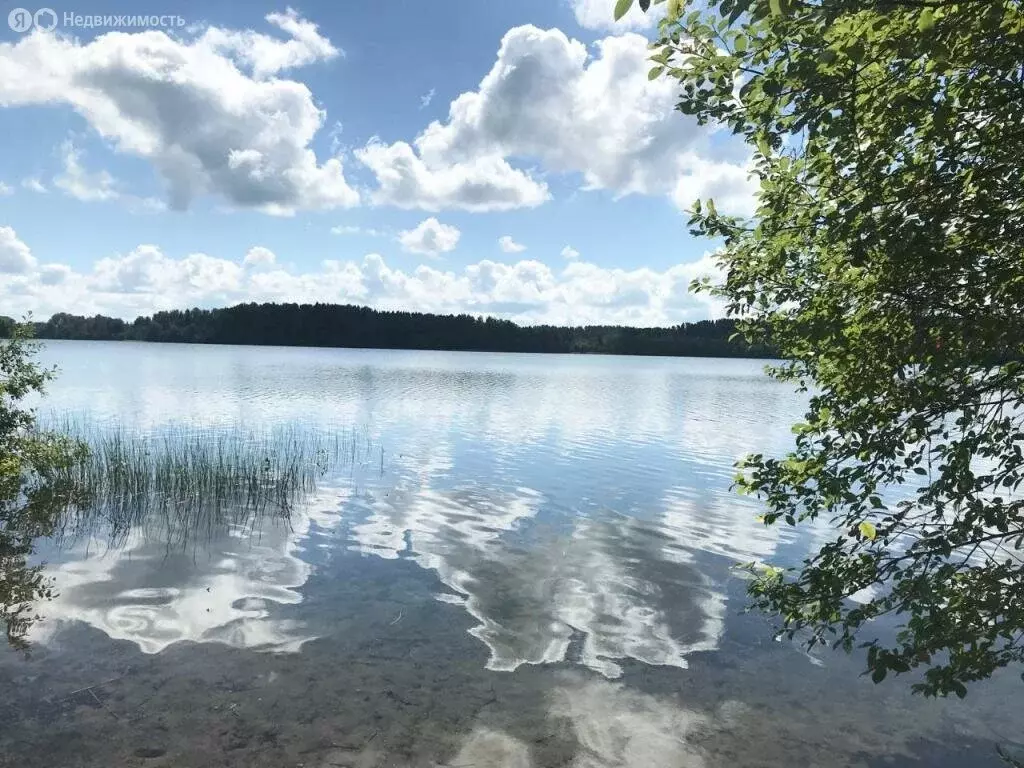Участок в село Берёзовик, Лесная улица (20 м) - Фото 0