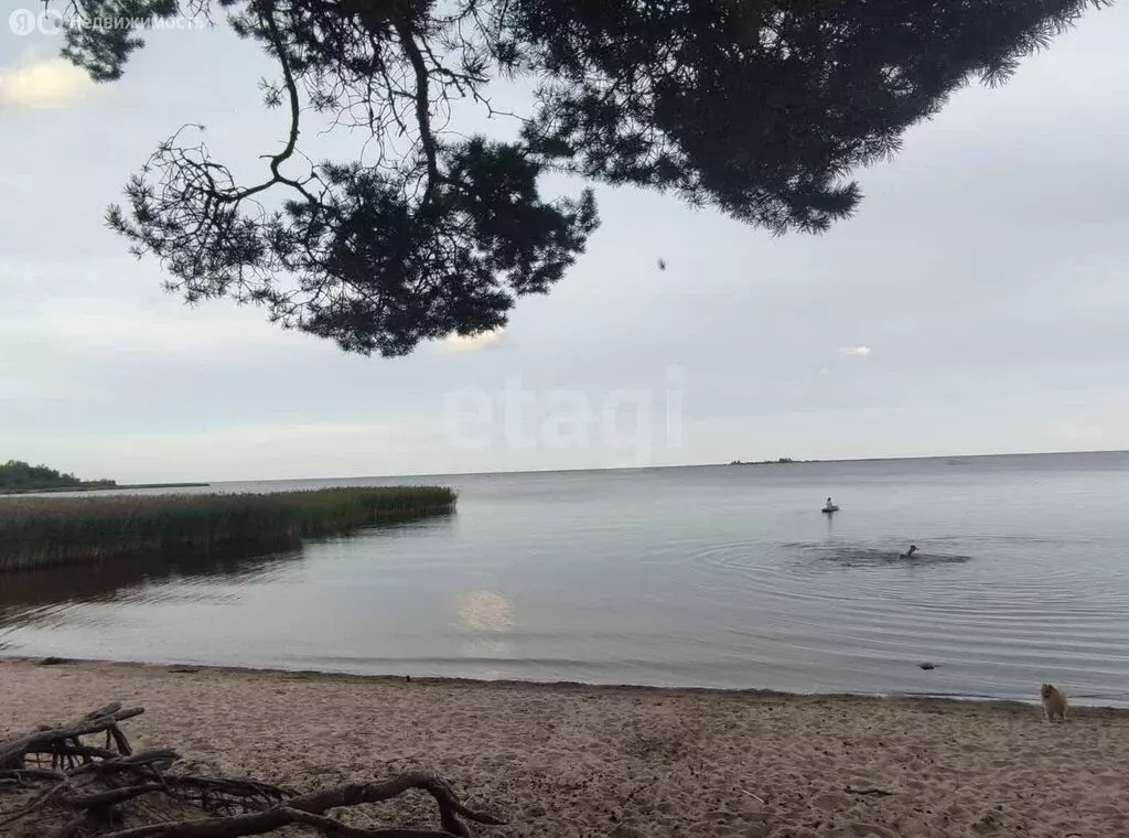 Участок в посёлок Запорожское, Московская улица (21.1 м) - Фото 2